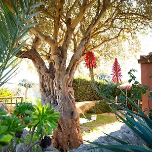 https://izzhome-ulivo.sicilyhotelsitaly.net