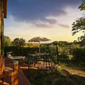 https://la-tavernetta-di-alessia.it-tuscanyhotel.com